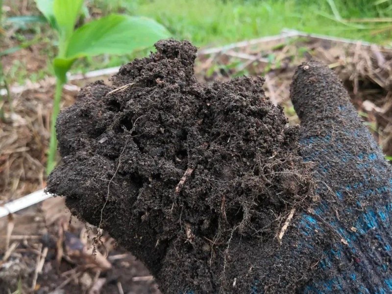 Over time, it becomes something stable